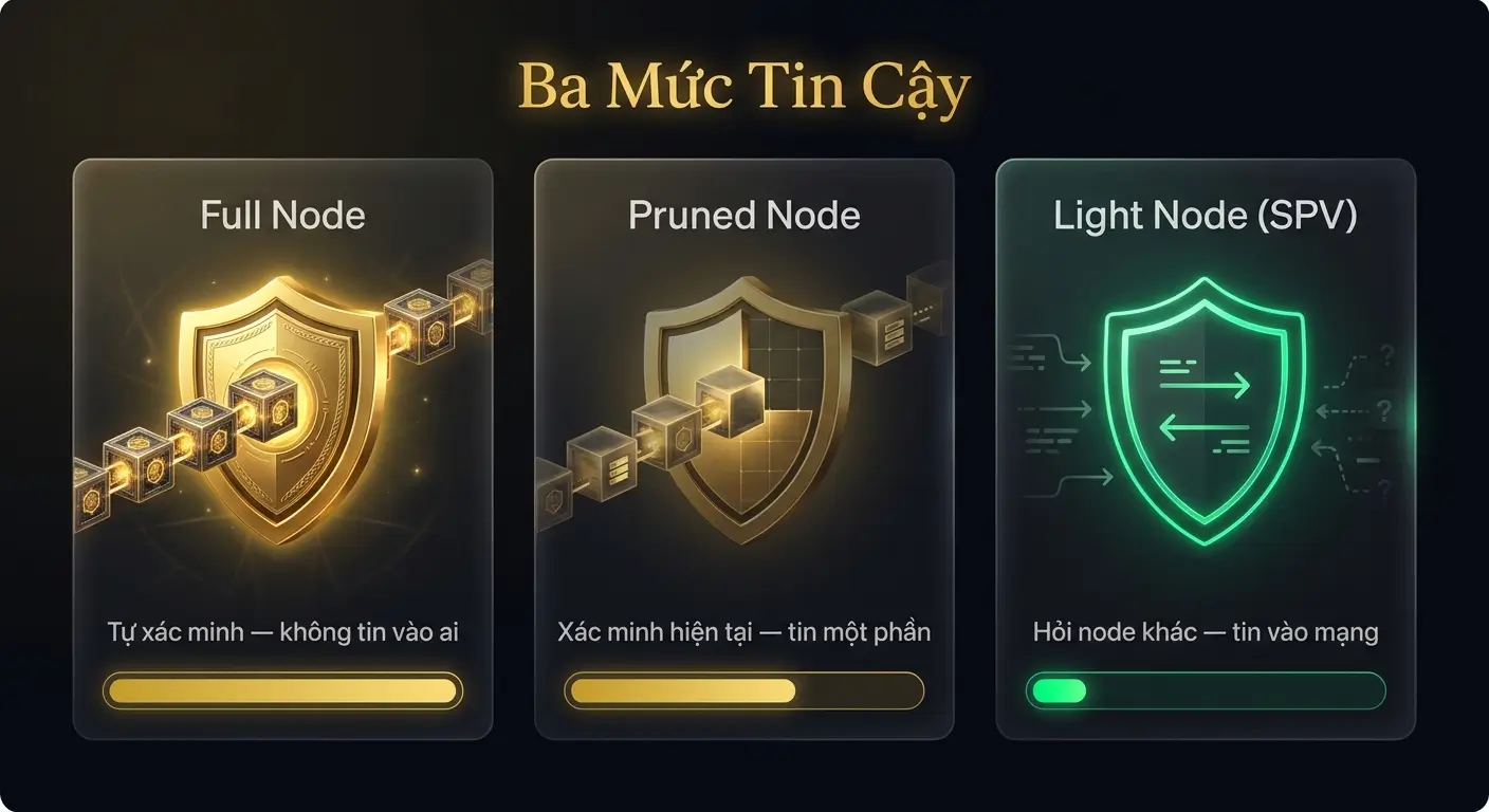 Node Là Gì? Full Node, Light Node và Pruned Node Khác Nhau Ở Điểm Gì?